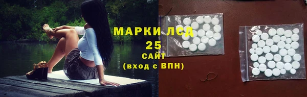 индика Алзамай