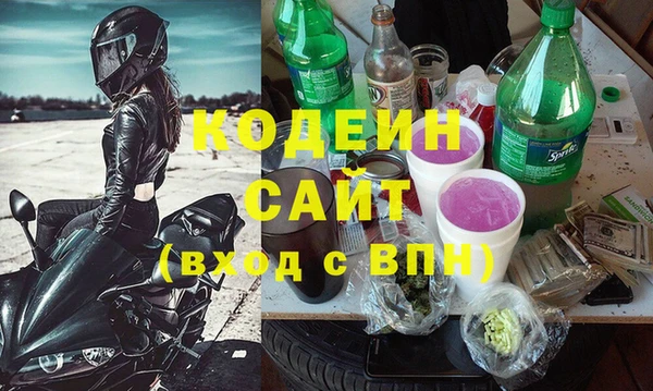 индика Алзамай