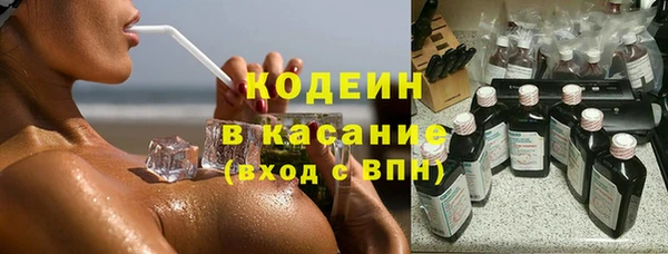 индика Алзамай