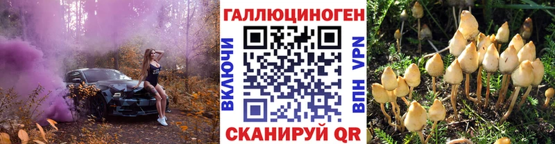 Галлюциногенные грибы Magic Shrooms  Прохладный 