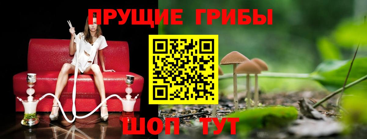 Псилоцибиновые грибы Psilocybe  Вход с VPN  Прохладный 